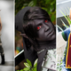 Illustration for article titled The Best Of Last Weeks Cosplay: Hitman, Dark Link, Mononoke Freakin Wind Waker